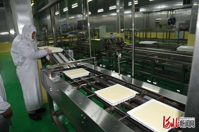 河北栾城:小黄豆做成大产业 豆制品加工