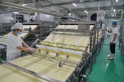 石家庄市栾城区大豆产业化发展助力乡村振兴——豆制品加工赋能农业新篇章