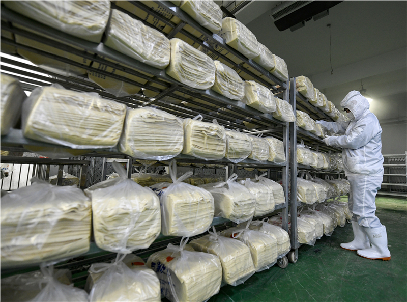 河北隆化 豆片飘香助农增收致富——《豆制品加工》特写