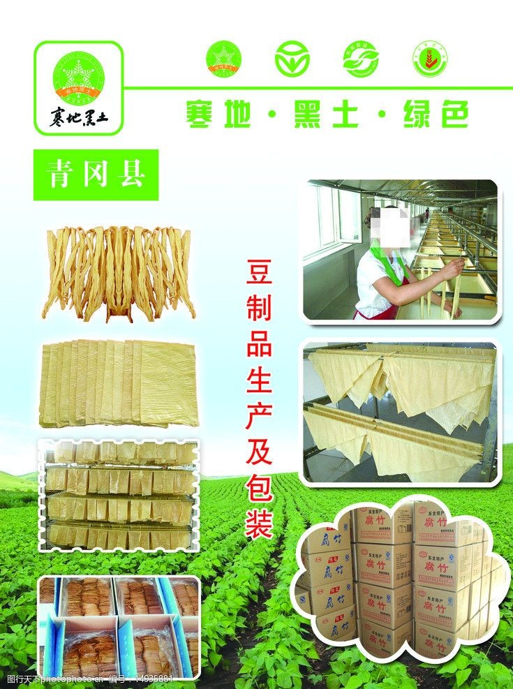 豆制品加工 传统与现代化的交融之旅