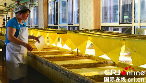 点豆成金 五大连池豆制品加工的创意农业振兴之路